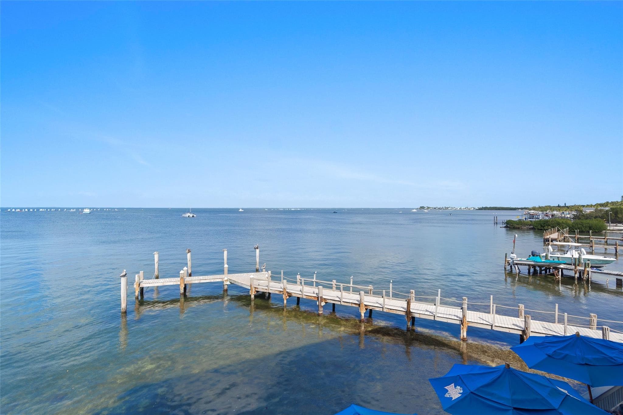 Elevated view over weathered wood docks and pilings topped with pelicans, with clear shallow water in the foreground and boats on the bay horizon.